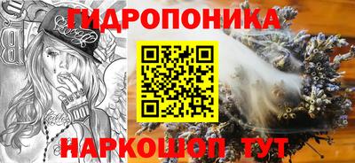спиды Кунгур